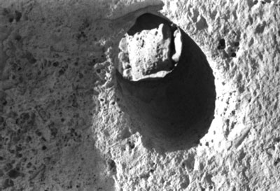 click on image for enlarged view