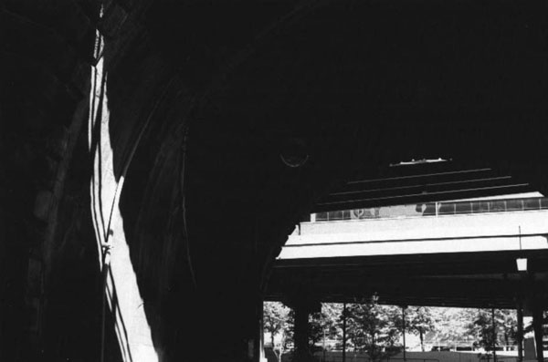 click on image for enlarged view