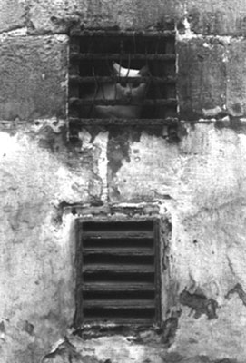 click on image for enlarged view