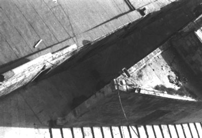 click on image for enlarged view